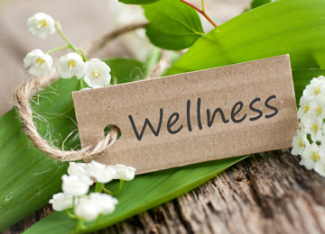 Wellness Workshops